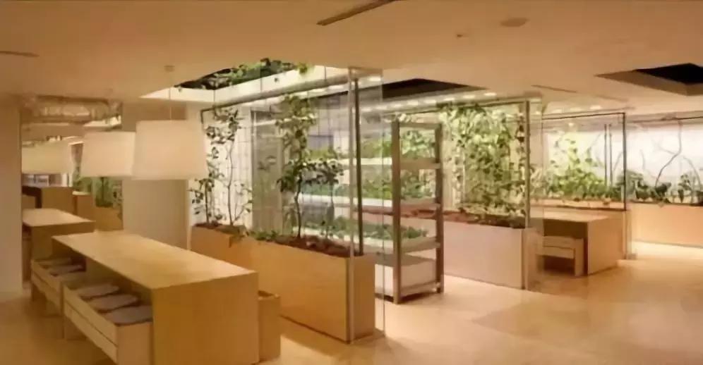 办公室里也能开挖掘机,办公室可以种葡萄