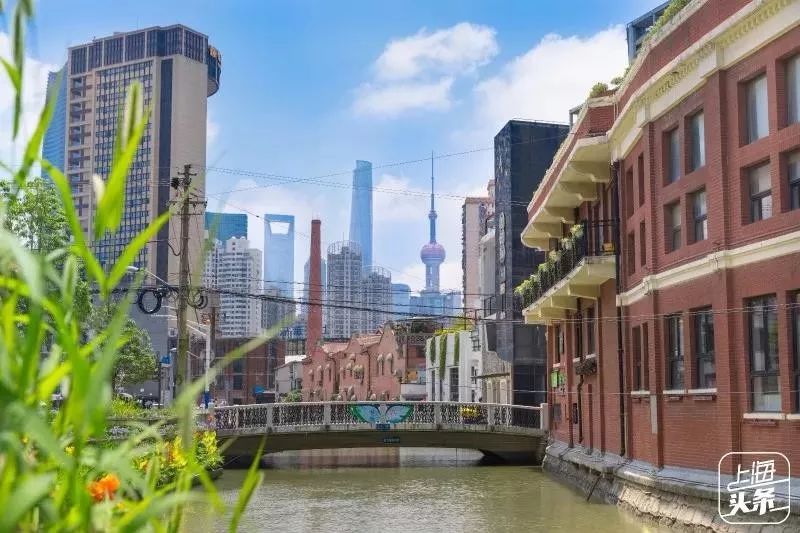 有一种记忆叫永远的回忆,有一种记忆叫失忆