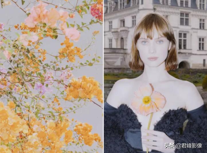 徕卡sl相机视频,徕卡sl最新款