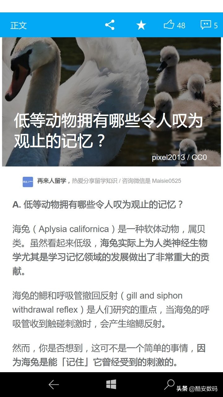 windows10mobile,win10mobile