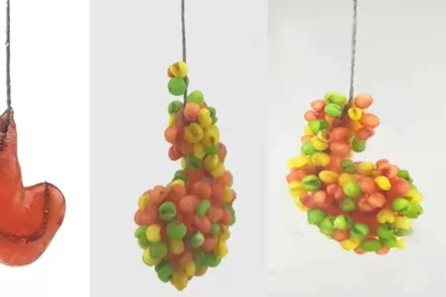 野钓酒米到底怎么用,二十年钓鱼老师傅总结的钓鱼口诀