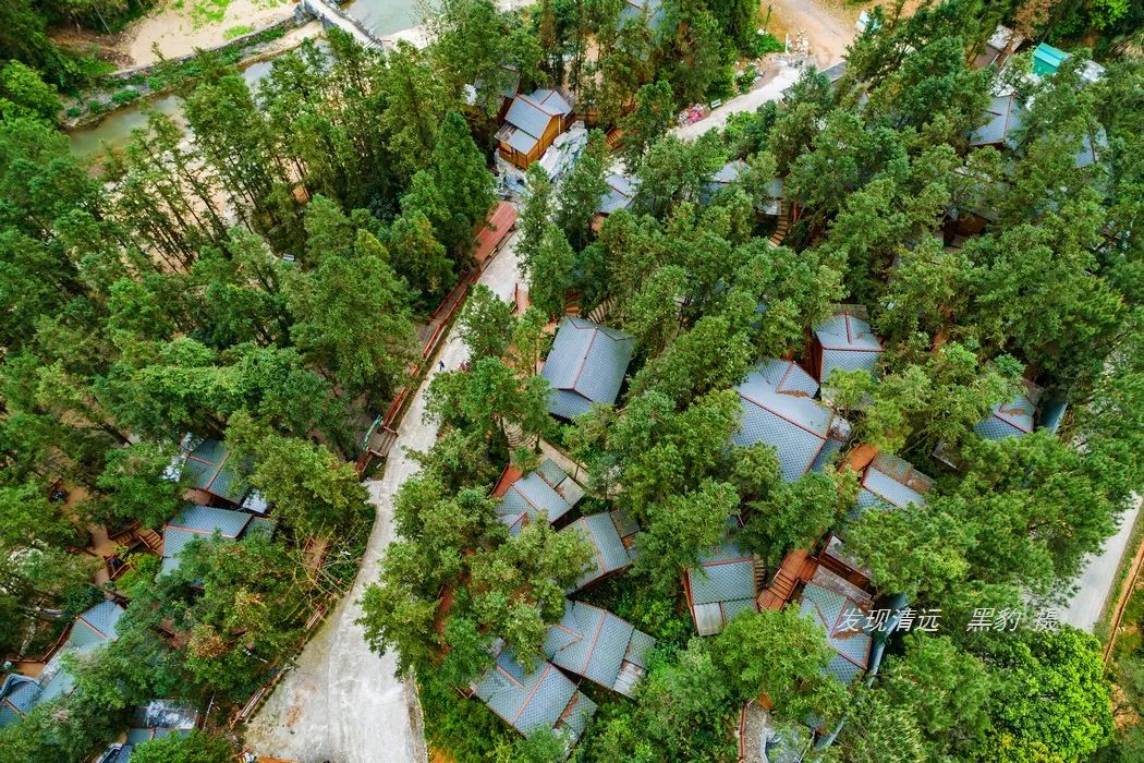 清远止林温泉民宿多少钱一晚,清远独立温泉民宿度假村排名榜