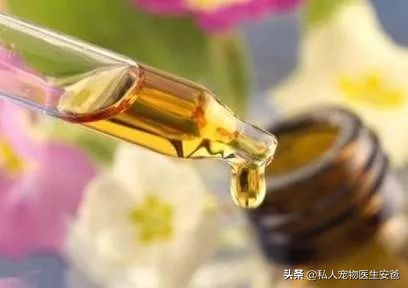 我们经常使用的护肤品，对猫咪有害吗？