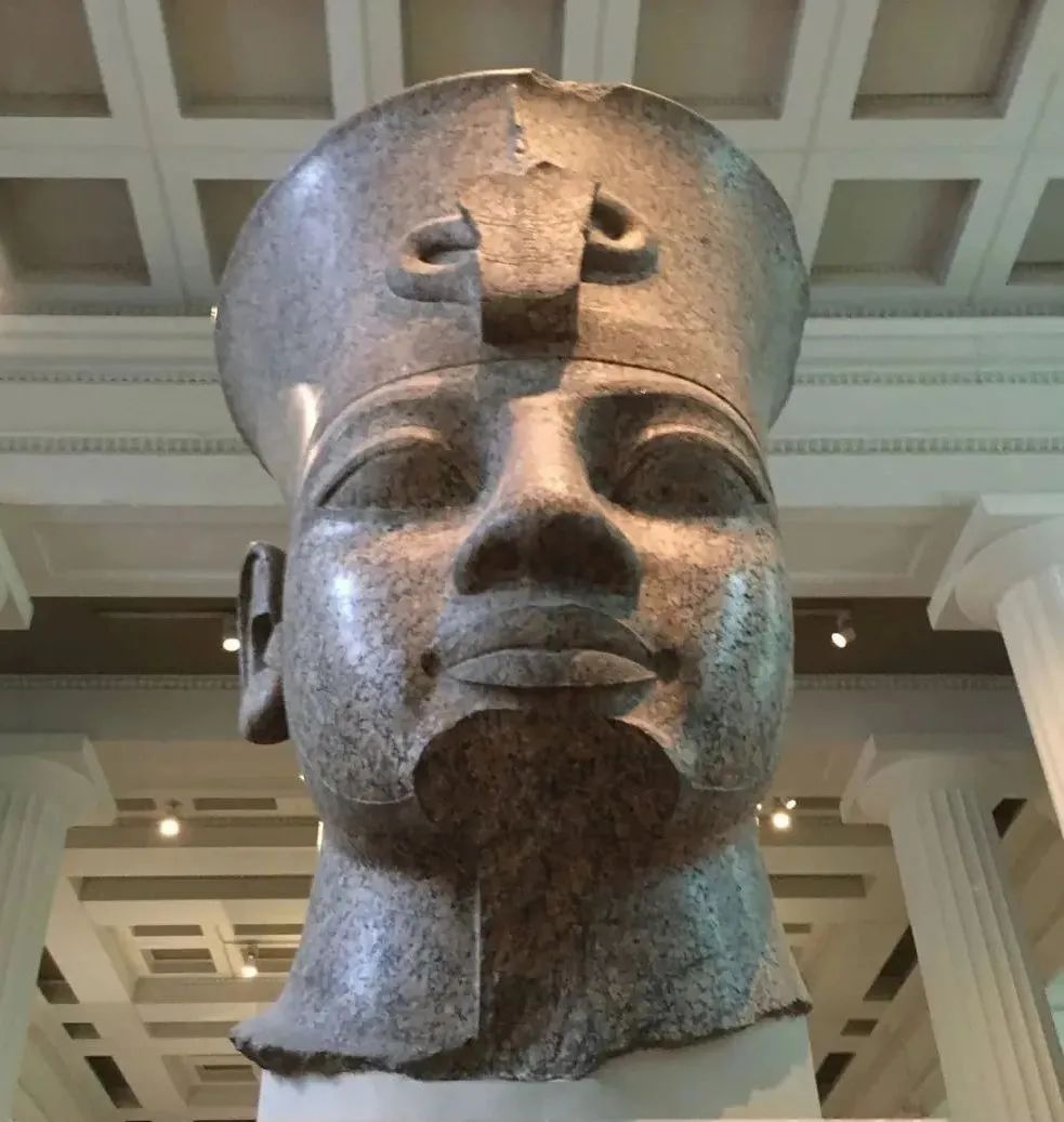 黑胡椒白胡椒绿胡椒红胡椒的味道,白胡椒和黑胡椒胡椒碱含量