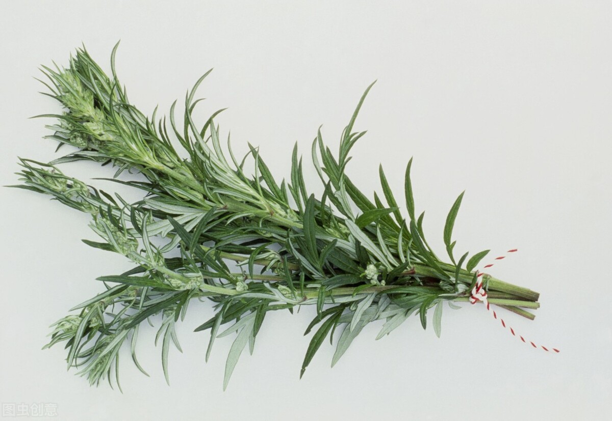 艾草行业网红,艾叶抖音网红