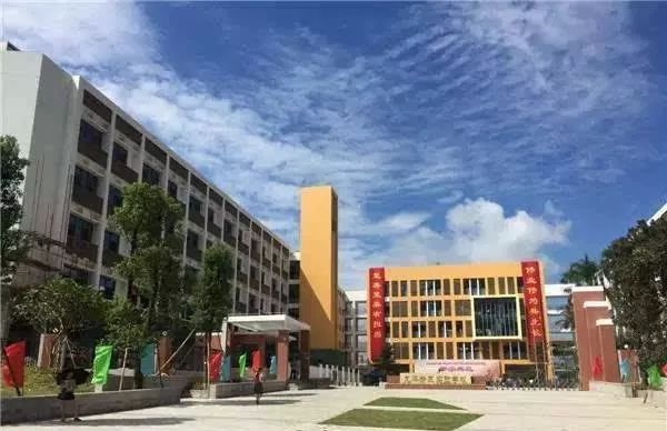 深圳龙华中学喜报,龙华实验学校初中中考成绩