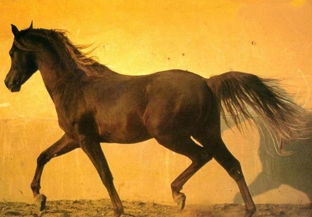 诗仙李白十首诗巅峰之作,李白最著名古诗10首感慨时光流逝