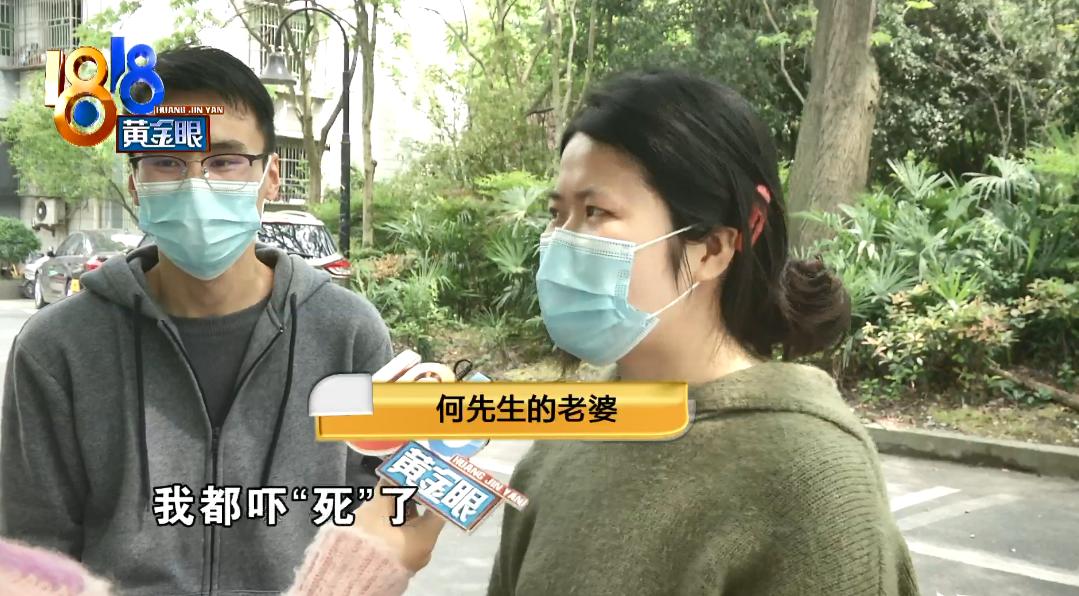 北京出租屋里有小虫子,出租屋全是虫子能退租吗