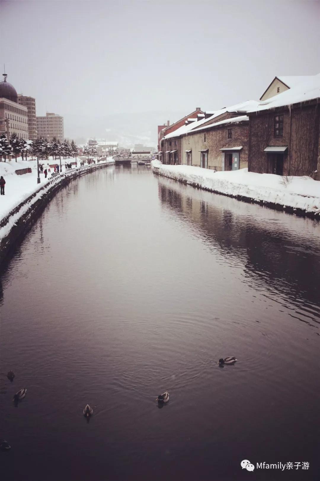 被疫情憋疯小朋友,被疫情憋疯的孩子们
