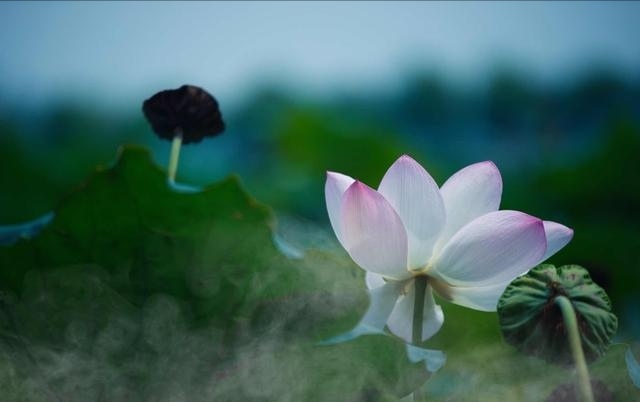 2018民谣歌曲大全100首,2018经典民谣推荐