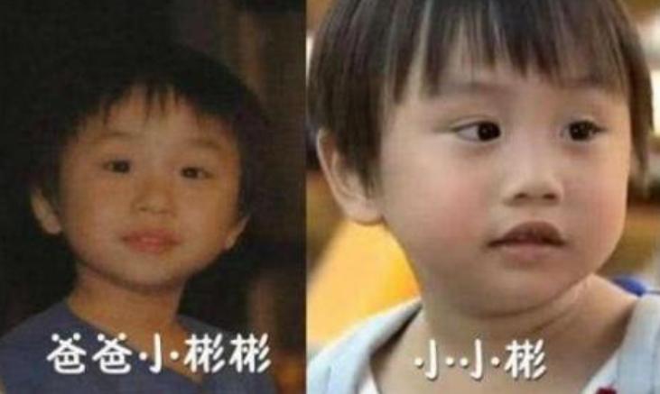 十大童星去世名单,十二位童星今昔对比