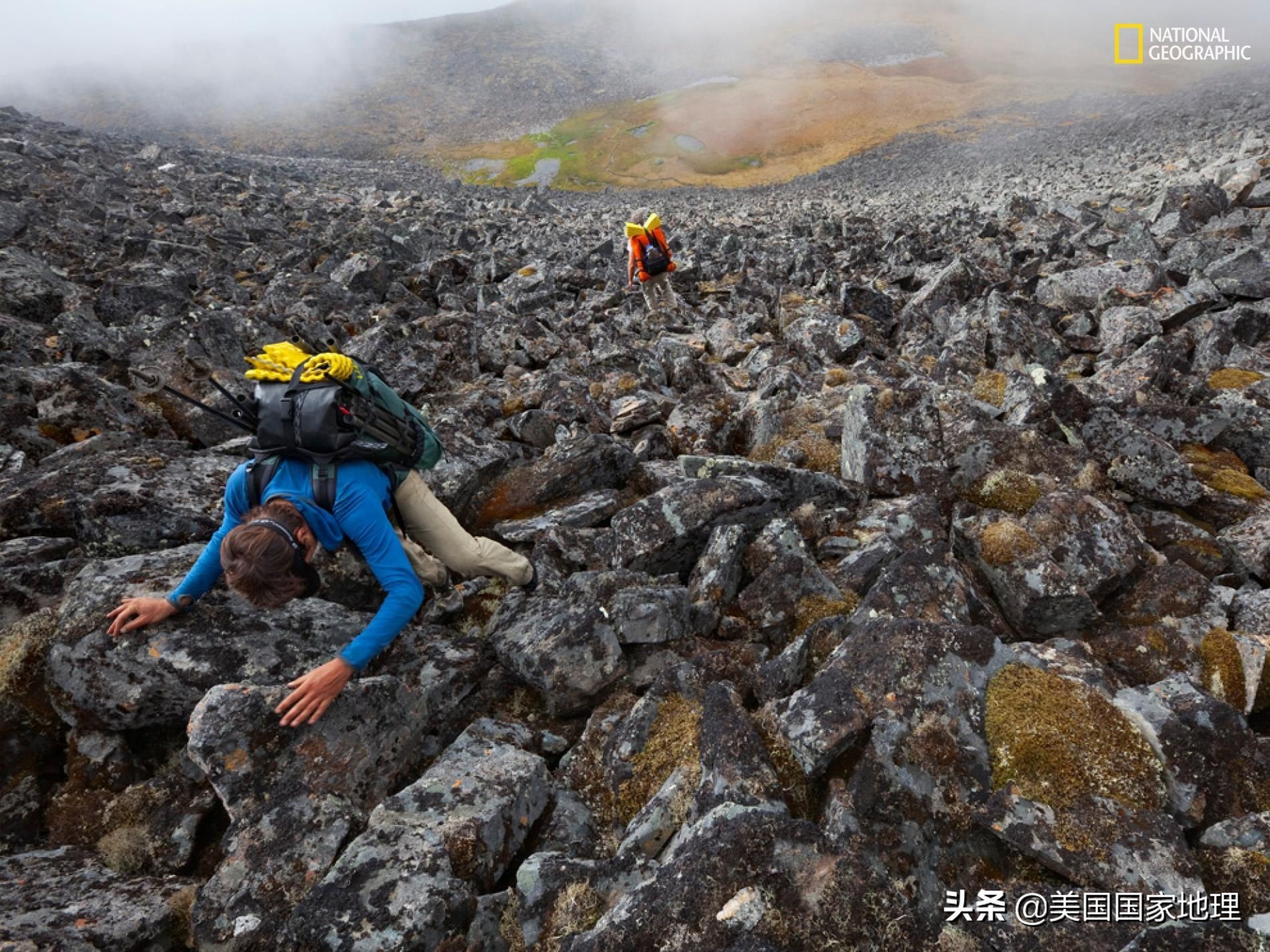 阿拉斯加行者遗珠,阿拉斯加隐秘遗珠