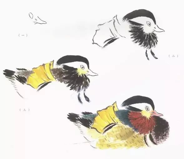 100种国画禽鸟画法,简单易学的禽鸟脚掌画法