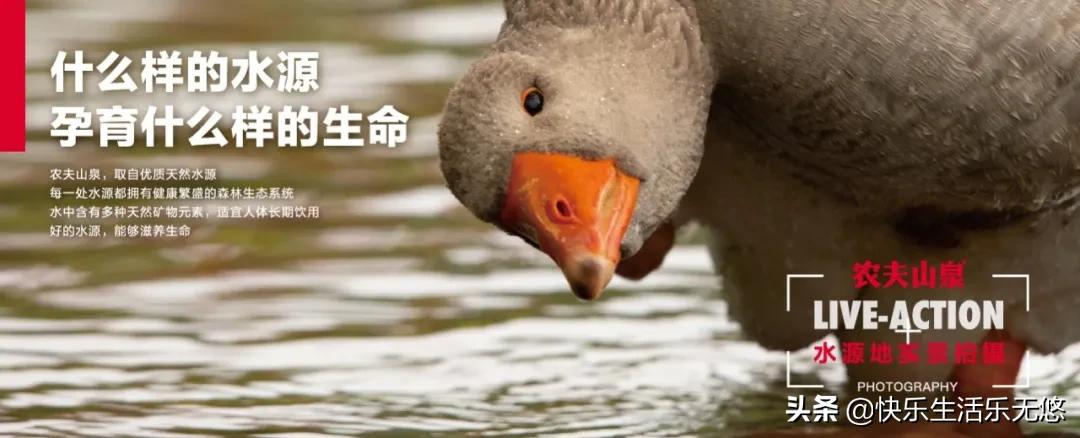 农夫山泉上市,卖水人要换个方式淘金了!娃哈哈怎么办?