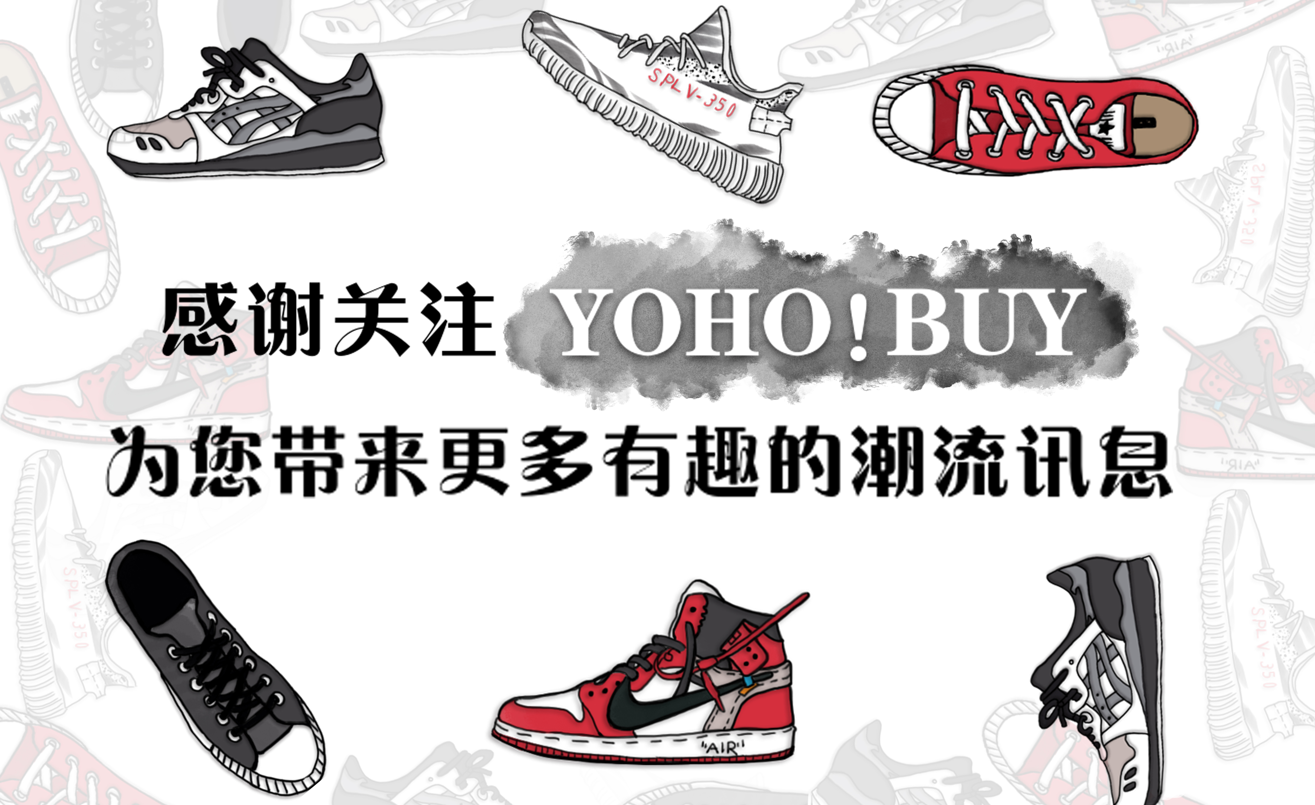 concepts绿龙虾,绿龙虾礼盒版本