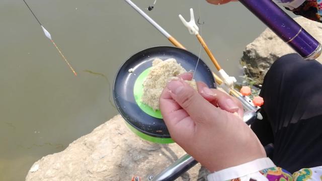 初春钓鲢鳙的4个诀窍,10月钓鲢鳙的方法和技巧