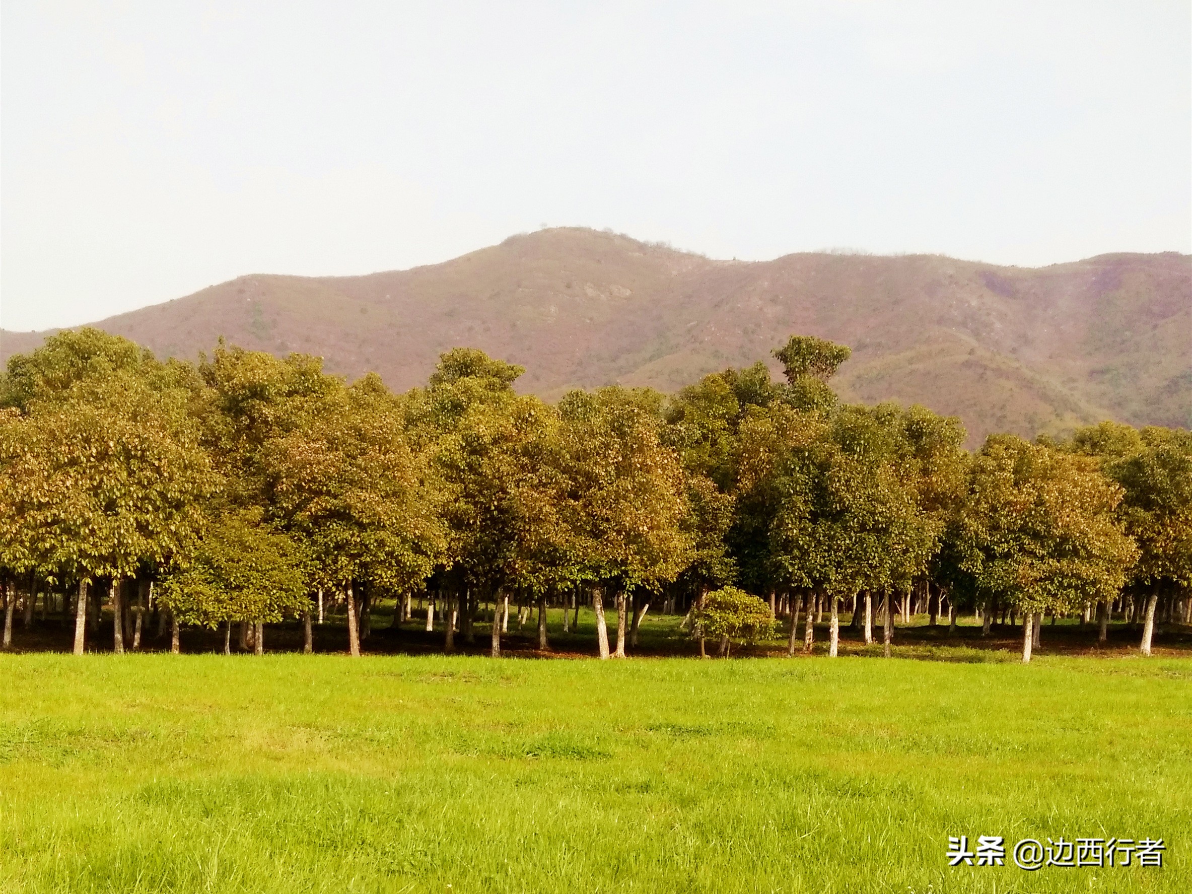 你听说过敔山湾吗？越是名不见经传的小众景点，越有独特的魅力