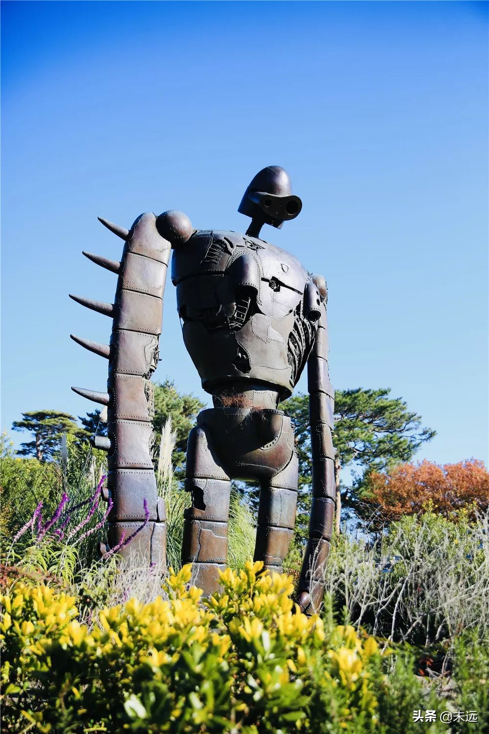 在日本坐新干线怎么坐划算,东京站到镰仓一日游最佳攻略