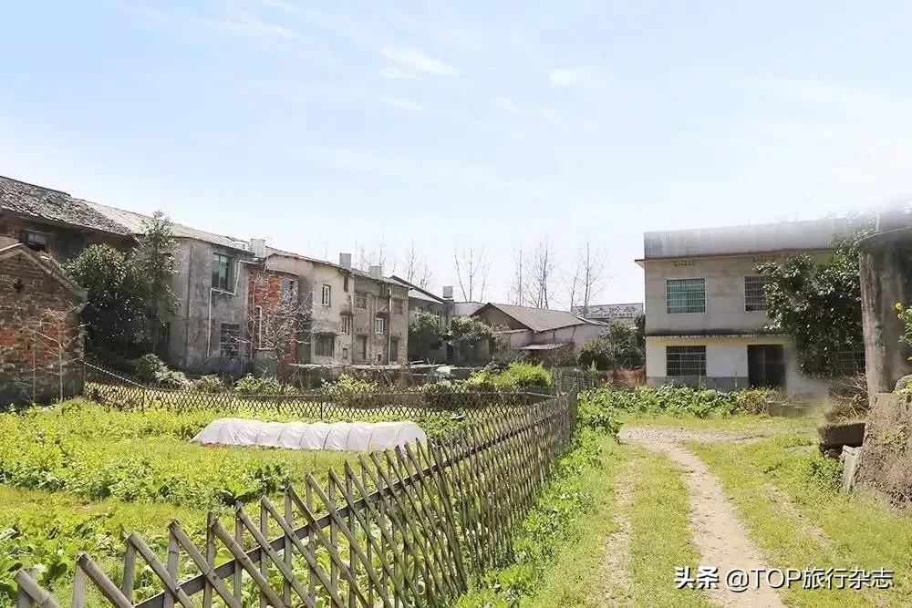 原来长沙隐藏了这14个人少景美的江心洲！不出城就能感受“海岛风情”，有些可以追溯到五代十国……