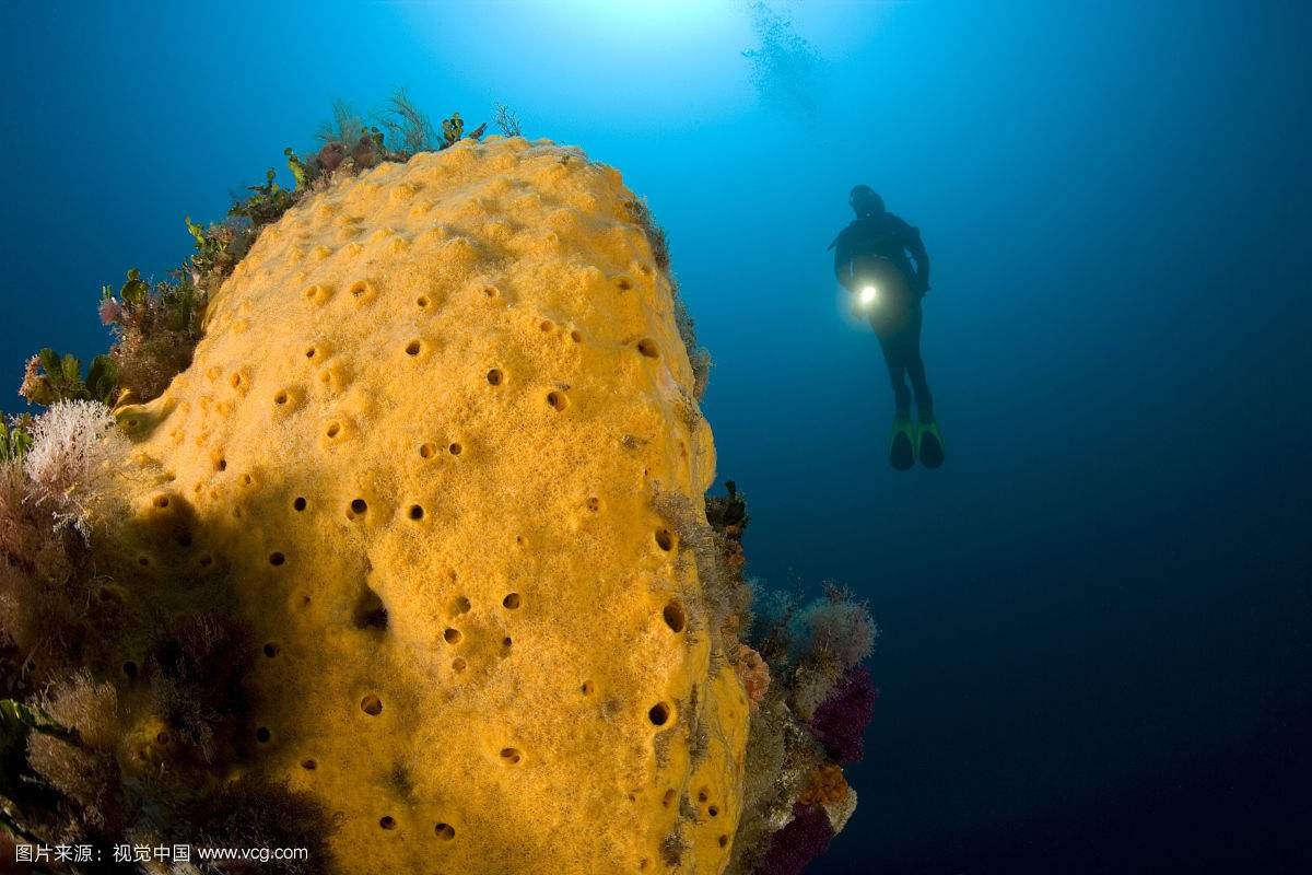 它“避得了邪”，却护不住自己