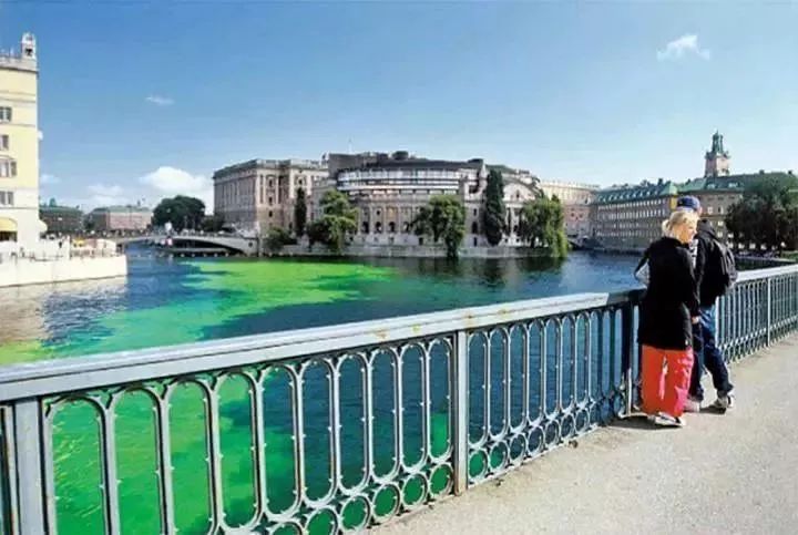 摇滚、坎普、Kaws：狂野又优雅的七月看展指南