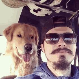 狗狗脾气不好老打架,狗狗脾气不好一急就咬人