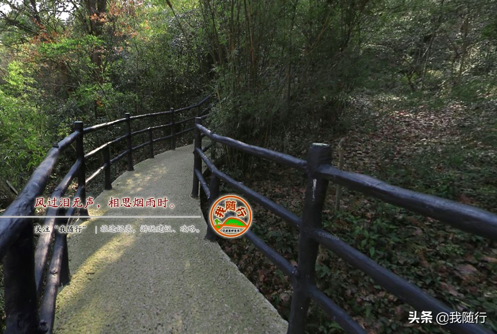 江西婺源江湾镇旅游路线,婺源江湾路线