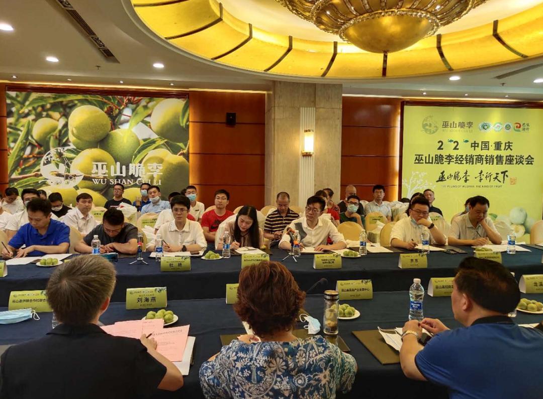 重庆巫山脆李品牌推介会,巫山脆李指定经销商