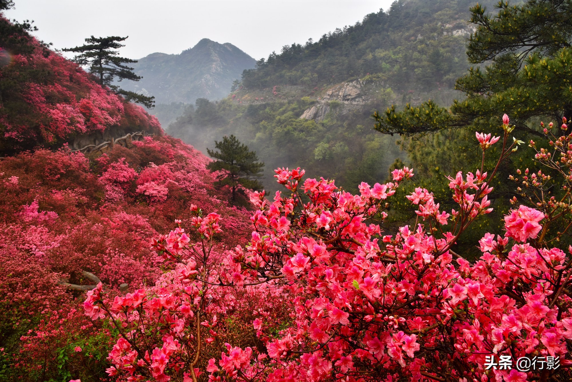 武汉青山网红打卡景点,云雾山武汉