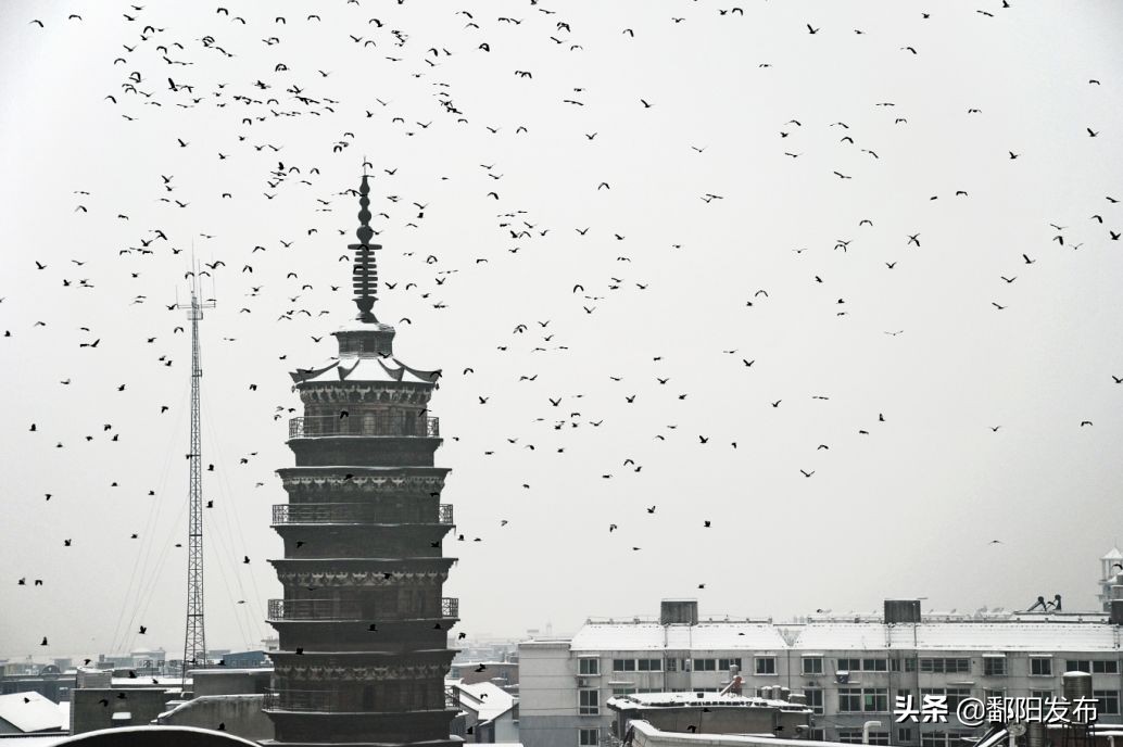 遇见美丽水乡,鄱阳鄱阳湖