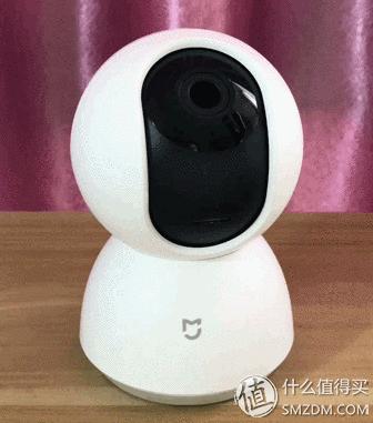 白天不在家猫喂食怎么办,白天不在家猫怎么养