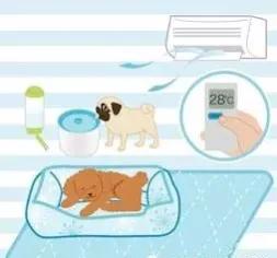 炎热夏季、爱宠如何避免中暑