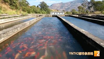 向往的田园生活打卡景点,向往的田园生活旅游