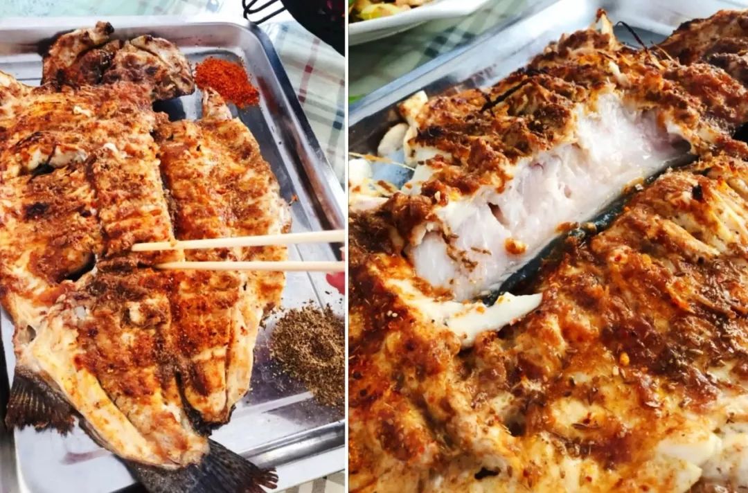 垂钓房车自驾游,房车旅行自驾越野休闲垂钓