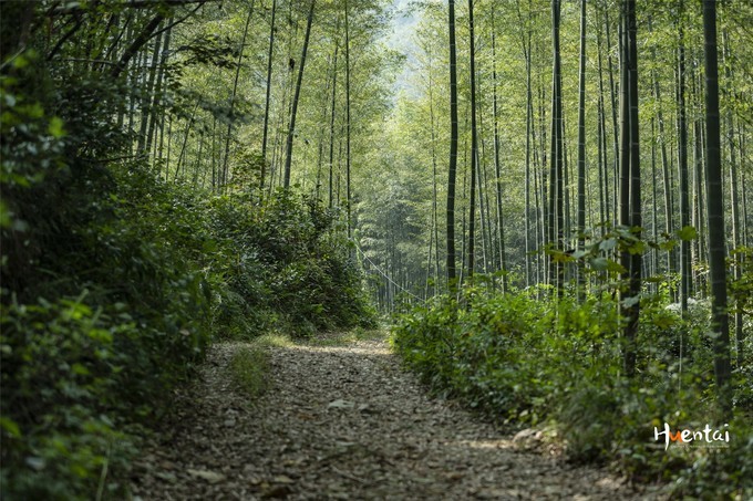 周末自驾游安徽郎溪,门票只花了30块,其它都是原生态秘境