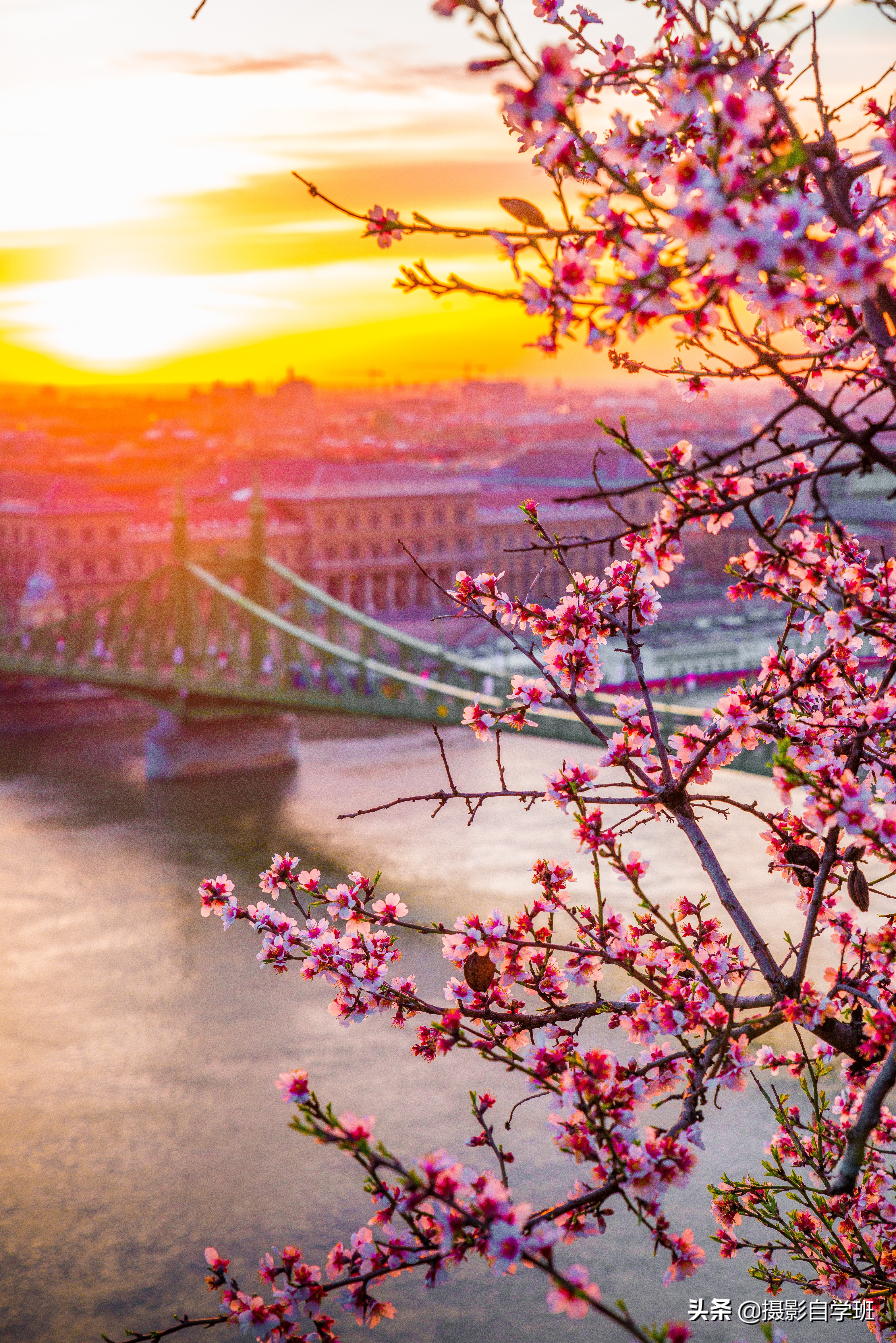 一座桥拍照技巧,如何拍桥的照片风景