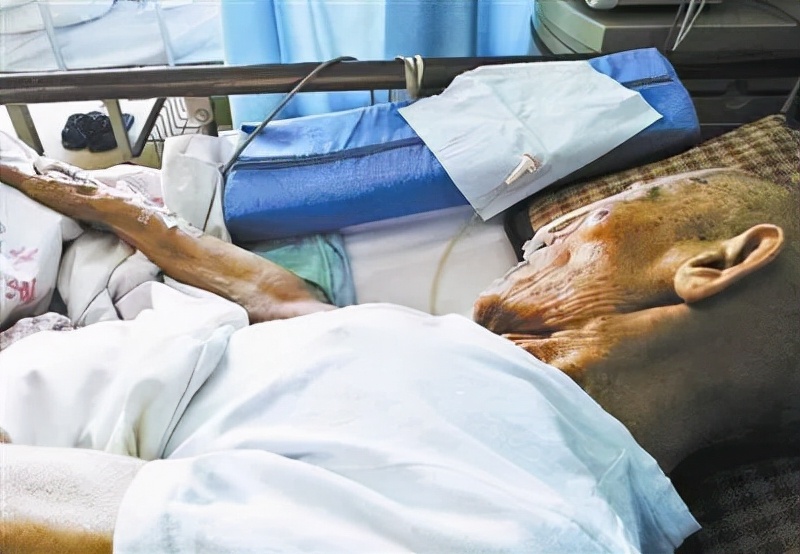 老人病重住院两个儿子3000元,老人住院7名子女不出钱