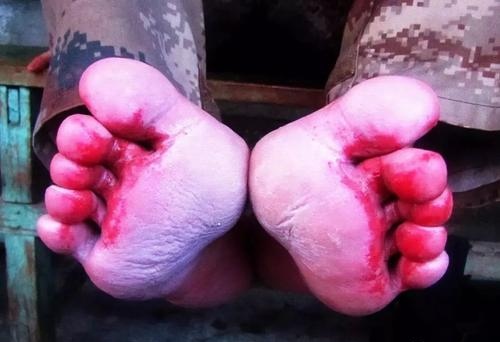 「雪域记忆」之十四——孤岛军魂，割舍不掉的墨脱情怀