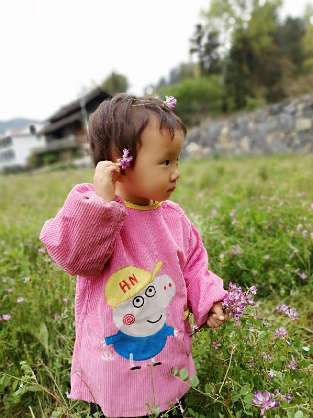 陌上花开,彩蝶翻飞,蜜蜂采蜜,这是一阙美丽的《蝶恋花》