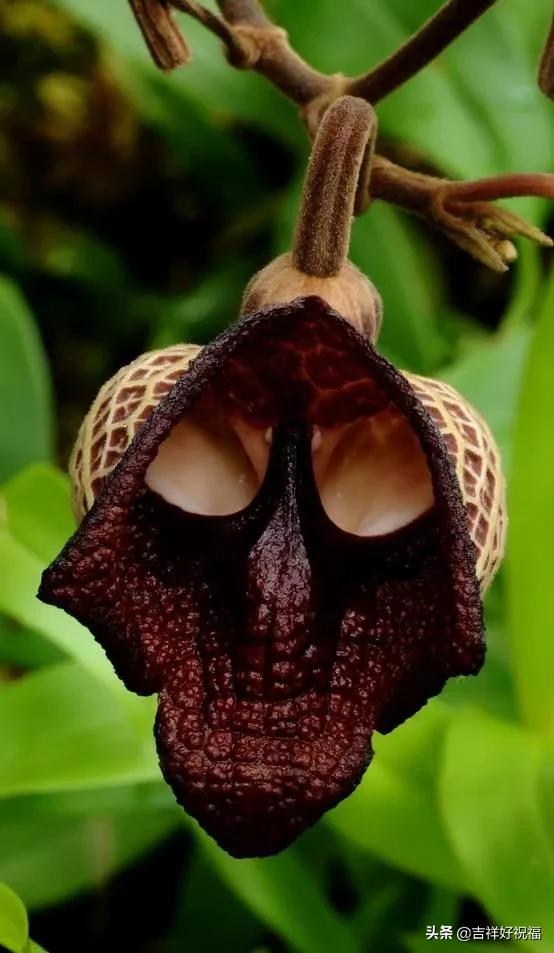 送给群友的美图,最新群相册大全