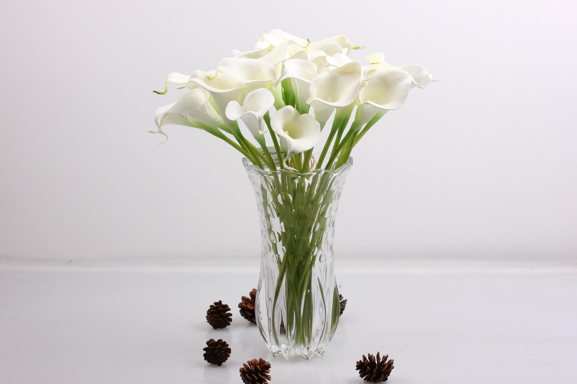 马蹄莲怎样养才开花多,马蹄莲要怎么养才会开花