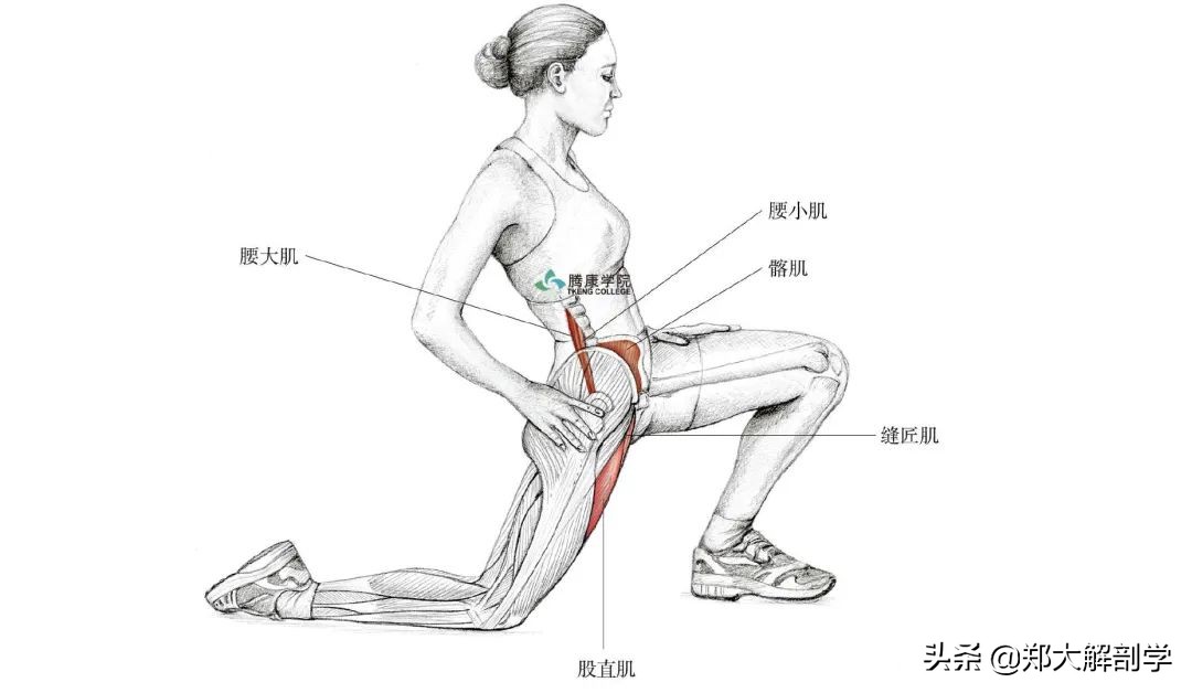 老年人蹲不下怎样锻炼,老年人蹲不下去了怎么办