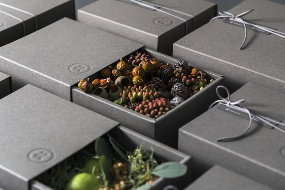 2021产品设计缪斯金奖,muse缪斯国际设计金奖