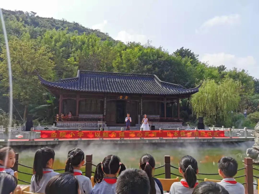 南京市金陵小学南京排名,南京市金陵小学2017