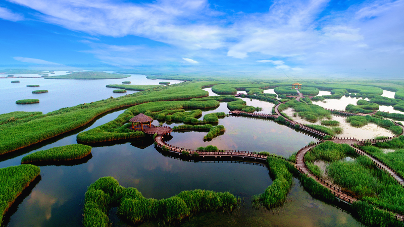 沧州滨海恒大文化旅游城：圈粉无数，狂掀绿色风暴