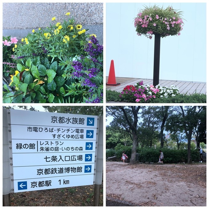 箱根到奈良如何坐车,日本东京京都箱根大阪奈良8日游