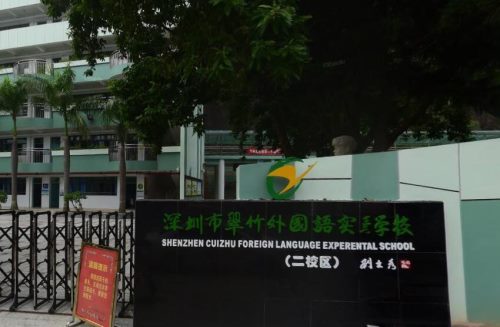 深圳罗湖区有名的小学,深圳罗湖小学学校排名