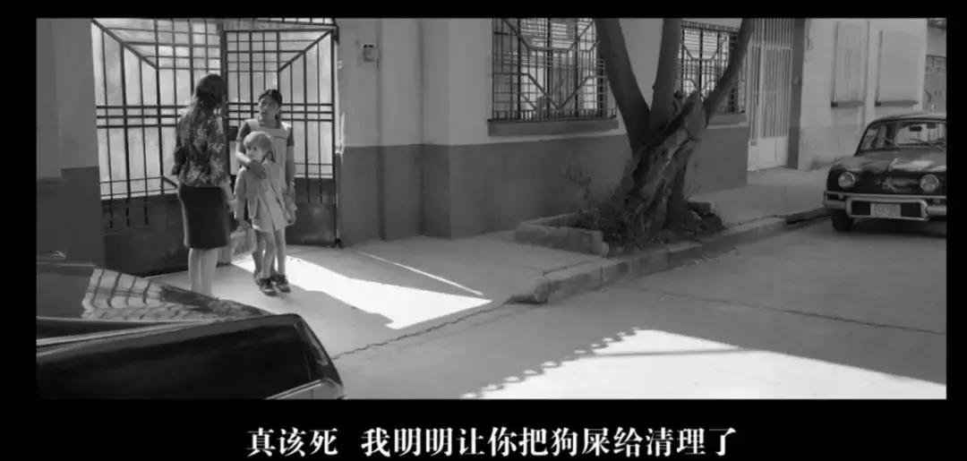 奥斯卡评选20世纪100部电影,奥斯卡10个奖项