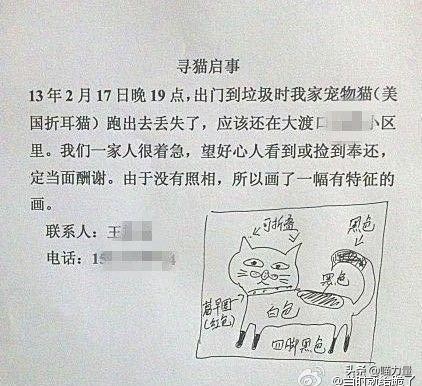 猫咪走丢找回来猫咪的心理,猫咪出走去找公猫还会回来吗