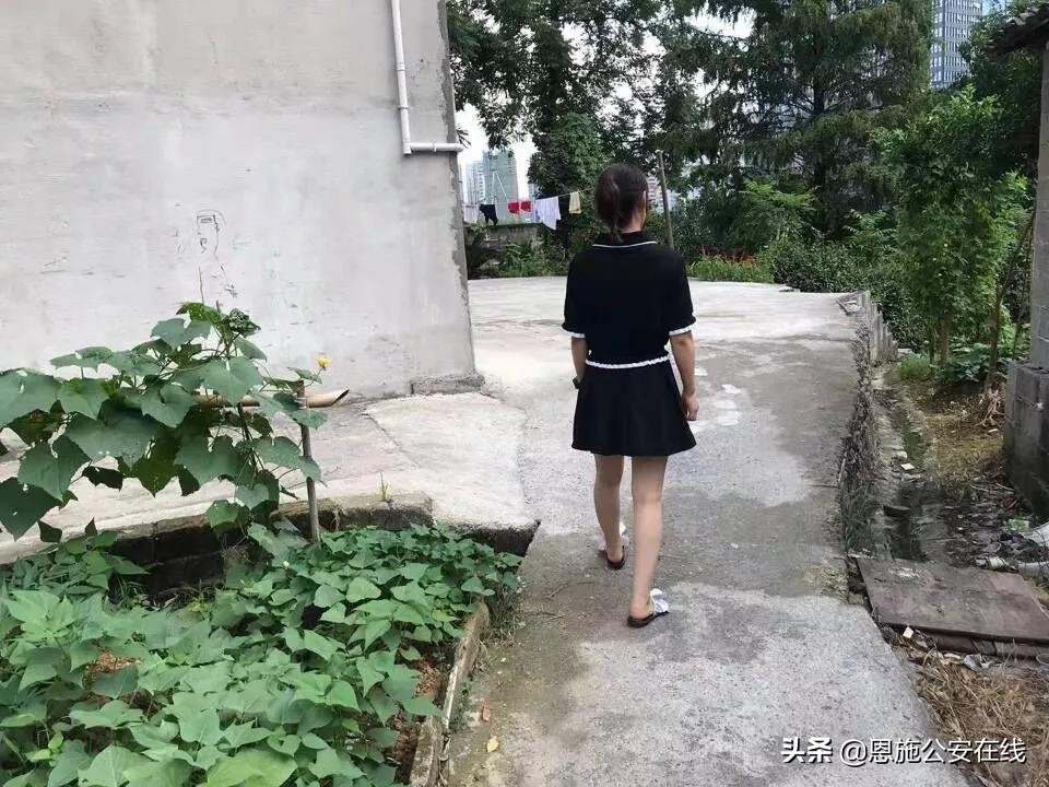 警事日记免费阅读,警事日记